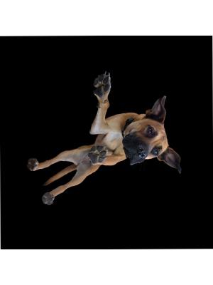_1_Under_Dog-rotated.jpg